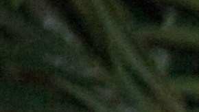 Daddy Yankee y Mireddys González enfrentaron una audiencia clave en San Juan, donde acordaron la entrega de documentos empresariales. Detalles aquí.