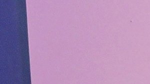 Así reaccionó Elizabeth Gutiérrez al saber que Julián Gil desea besar a William Levy.