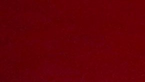 TNT, CBS y Paramount+ son algunas de las opciones para ver los Grammy 2025 en vivo. Conoce más detalles aquí.