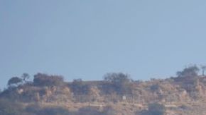 Los Premios AFI y más eventos fueron pospuestos por los incendios en Los Ángeles.