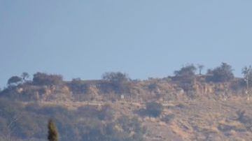 Los Premios AFI y más eventos fueron pospuestos por los incendios en Los Ángeles.