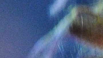 Jennifer López en performance