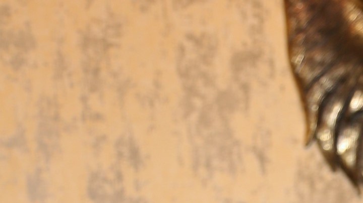 Jose Luis rodriguez