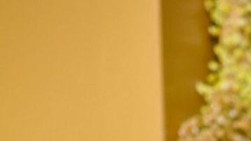 ¿Kylie Jenner está embarazada? Esto se sabe.