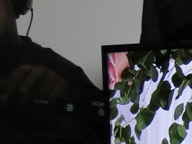 Con capturas de pantalla, Ludwika Paleta denuncia intimidaciones contra ella y su familia, cuestionando las medidas de seguridad digital.