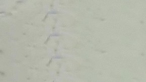 Imelda Tuñón y Maribel Guardia enfrentan un proceso legal por la custodia de José Julián, en medio de acusación y declaraciones cruzadas.