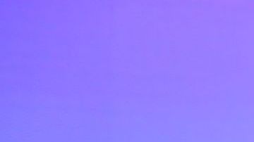 ¿Maripily Rivera incomodó a Clovis Nienow en pleno programa?