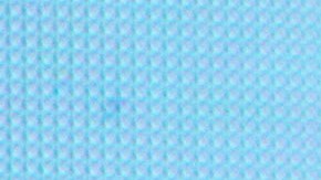 La actriz Niurka Marcos muestra su amor por su hija Romina, quien anunció públicamente su relación con la doctora Laura Salazar.