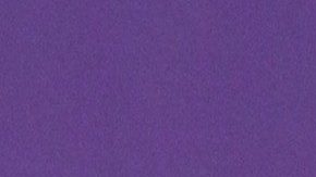 Peso Pluma en alfombra roja