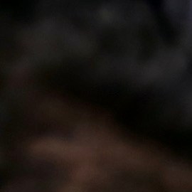 Esta es la historia de cómo un simple evento social desencadenó una inesperada conexión entre Salma Hayek y Donald Trump.