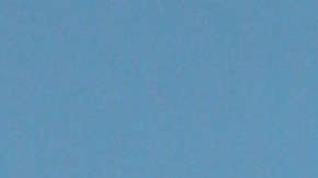 Conoce las parejas y rumores sentimentales de William Levy, uno de los actores más codiciados, y las estrellas que han sido parte de su vida.