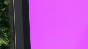 Lo que no sabías del rompimiento de Aleska Génesis y Clovis Nienow.