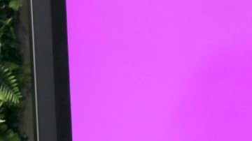 Lo que no sabías del rompimiento de Aleska Génesis y Clovis Nienow.