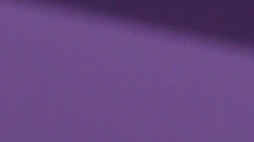 Daddy Yankee impugna la decisión del juez, asegurando que la documentación presentada por su esposa es incompleta e imprecisa.