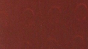 Daddy Yankee acusa a su exesposa Mireddys González de una transferencia ilegal en sus empresas. Conoce el conflicto en curso.