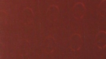 Daddy Yankee acusa a su exesposa Mireddys González de una transferencia ilegal en sus empresas. Conoce el conflicto en curso.