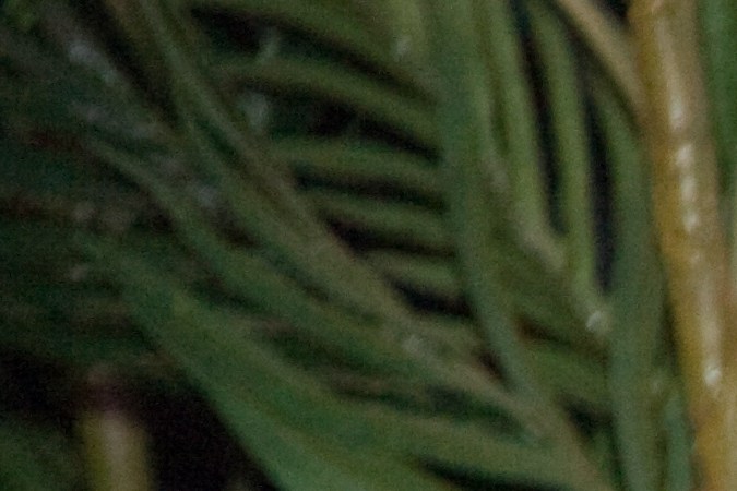 El cantante alega que su esposa y su cuñada movieron 100 millones de dólares sin su autorización, intensificando la disputa.