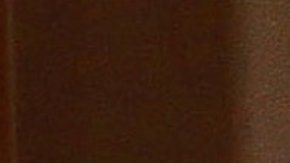 Murió Daniel Bisogno a los 51 años.