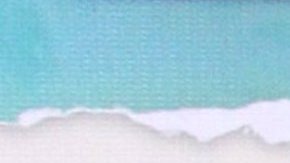 Imelda Garza Tuñón presume resultados de pruebas que la favorecen.