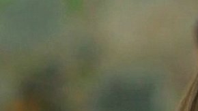 Irina Baeva y Giovanni Medina viajarían juntos en plan romántico.