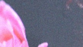 Karla Sofía Gascón se responsabiliza por sus polémicos comentarios.