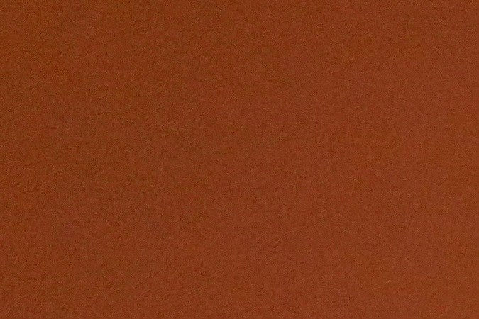 Shakira en los Grammy