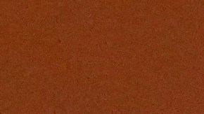 Shakira con su cuarto Grammy