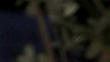 Daniella Navarro ha querido dejar claro que se siente muy feliz en su relación.