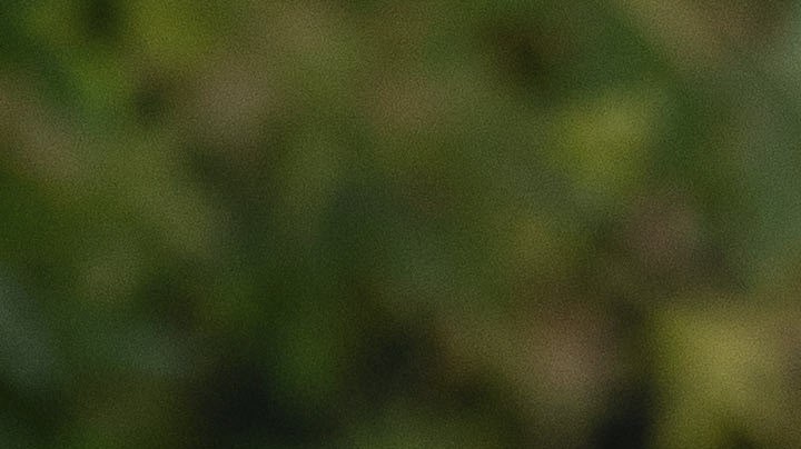 Dani Alves y Joana Sanz.