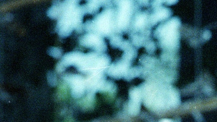 El actor Richard Chamberlain posa en Los Ángeles, California, el 27 de diciembre de 1989. (Foto AP/Doug Sheridan).