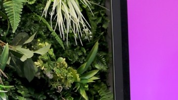 Hermana de Aleska Génesis acusa a su ex de orquestar un plan macabro en contra de la modelo.