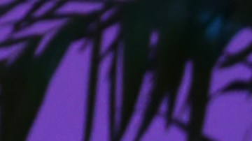 ¡Sigue el pleito! Daddy Yankee demandó a Mireddys González.