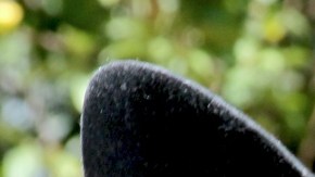 Gabriel Soto fue contundente al ser cuestionado sobre Irina y Giovanni Medina.