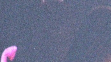 Karla Sofía Gascón relata el susto que sufrió en los Oscar 2025.