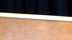 Miss Chile despotrica de William Levy: "No tuvo (pantalones)".