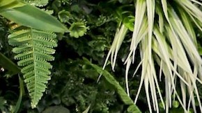 Aleska Génesis comparte en el programa "En Casa con Telemundo".