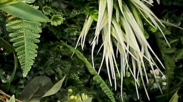 Aleska Génesis comparte en el programa "En Casa con Telemundo".