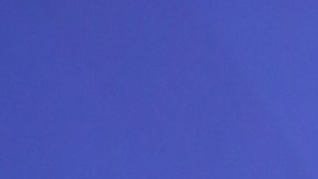 La cantante mostró su nueva adquisición mediante una publicación en su cuenta oficial de Instagram.