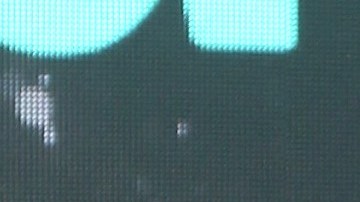 Yailín la más Viral