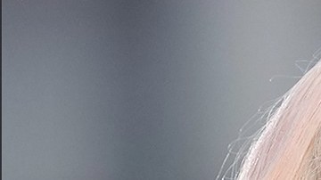 Shakira y Karol G podrían presentarse en Colombia.