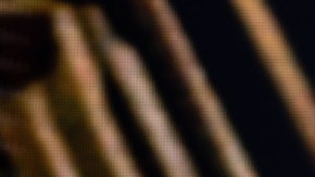 Pleito de Ricky Martin y su sobrino llega a su fin.