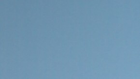 William Levy tendría serios problemas personales.