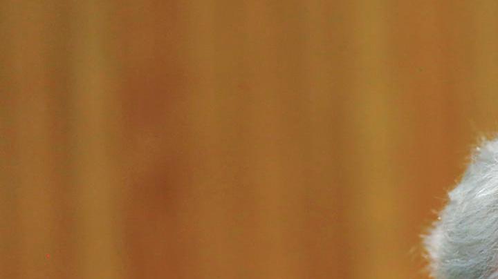 Mario Vargas Llosa falleció en Lima, informa su familia