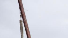 La tragedia dejó un saldo de fallecidos de al menos 232 personas. EFE/Orlando Barría