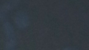 La mujer refiere que el artista no demuestra que incurrieron en alguna negligencia.