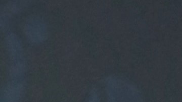 La mujer refiere que el artista no demuestra que incurrieron en alguna negligencia.