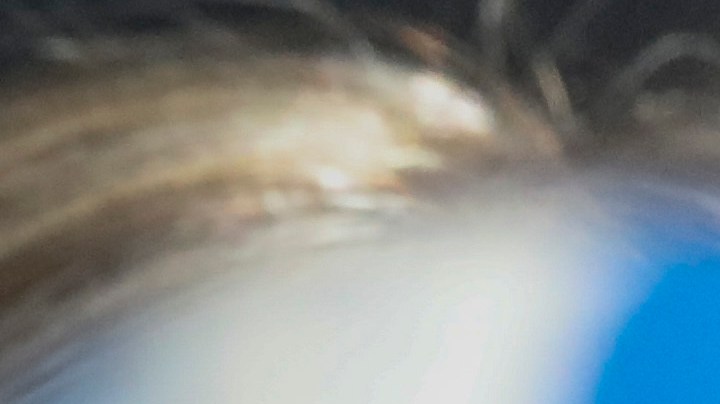 Gran Bretaña Epstein