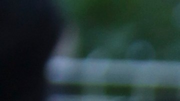 La modelo había testificado hace a penas una semana por el juicio de su expareja. (AP Photo/Joel Ryan, File).