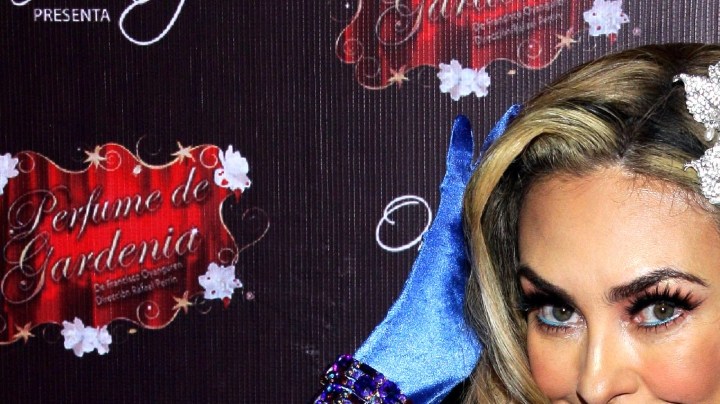 Conoce al jurado completo de "Miss Universe Latina, el reality".