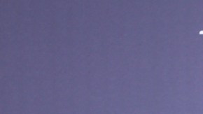 Daniella Navarro aplaude la participación de Alfredo Adame en "LCDLF All-Stars".